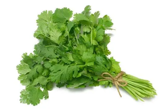How to Store Vegetables and Greens in Andhra's Heat (Keep Them Fresh for Days)