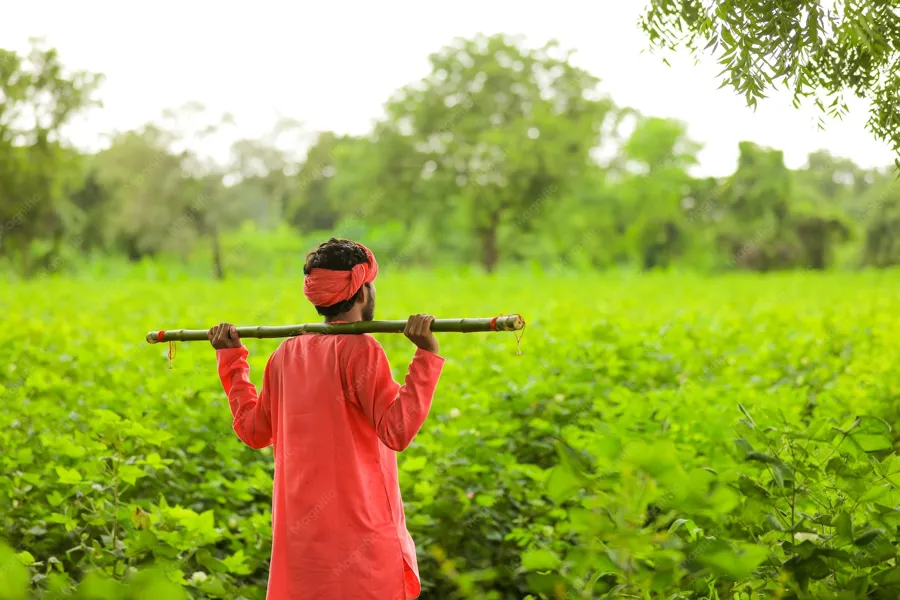 No Middlemen, Fair Prices: How Pure O Fresh Brings Fresh Food to Every Family in Tenali