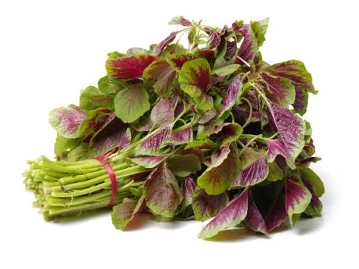 Amaranth Leaves 500g – buy online in Tenali