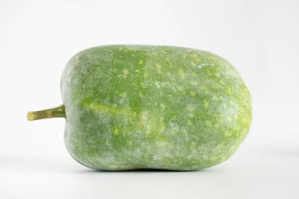 Ash Gourd 500g photo 3