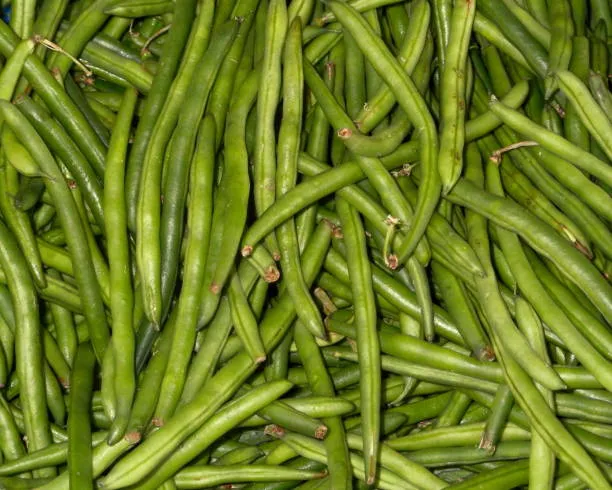 Beans 500g photo 4