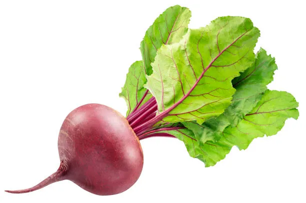 Beetroot 500g photo 2