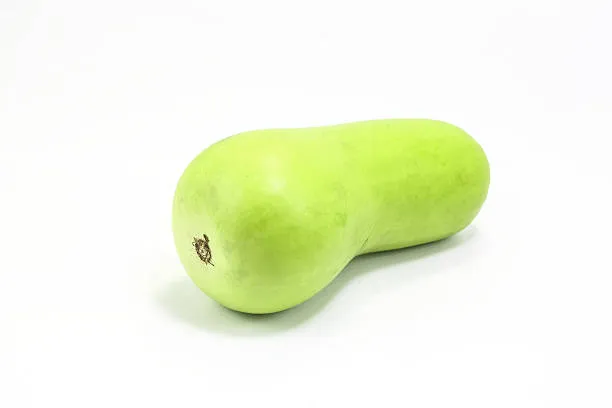Bottle Gourd 1pc photo 3