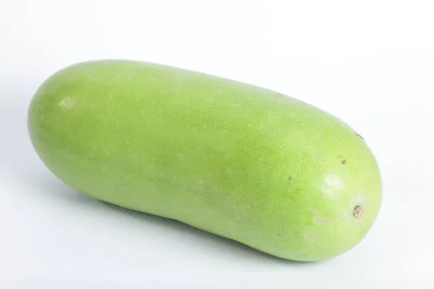 Bottle Gourd 1pc photo 4