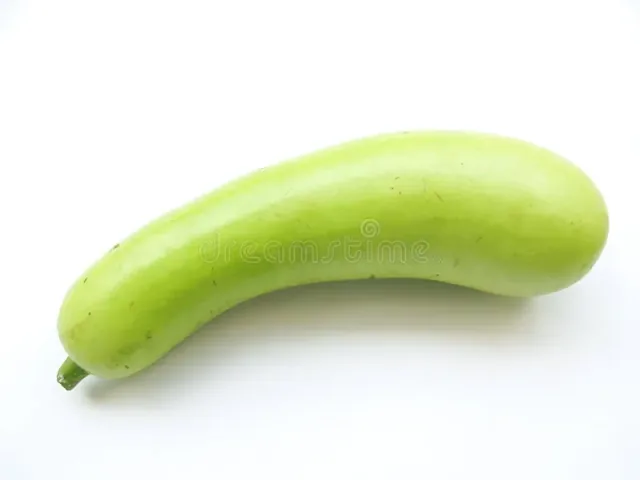 Bottle Gourd 1pc – buy online in Tenali
