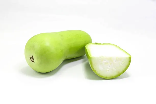 Bottle Gourd 500g photo 2