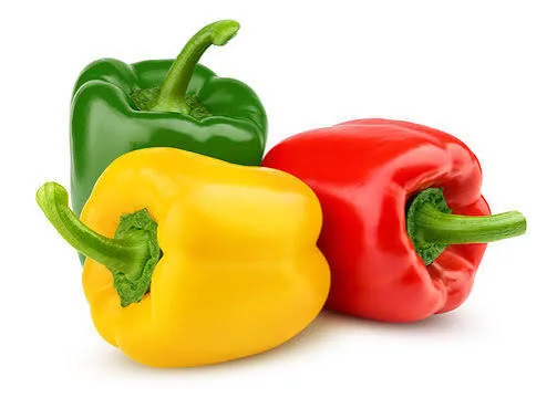 Capsicum 500g – buy online in Tenali