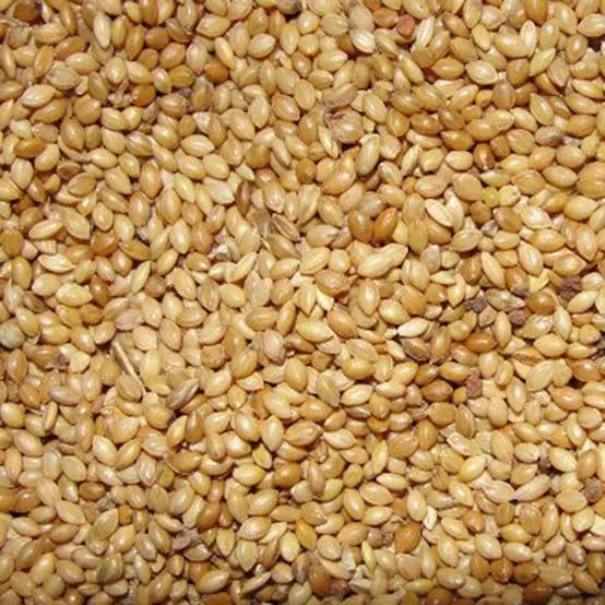 Rice & Grains in Tenali