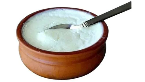 Fresh Curd 500g – buy online in Tenali