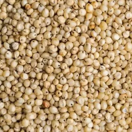 Jowar 1kg – buy online in Tenali