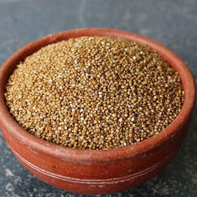 Kodo Millet 500g – buy online in Tenali
