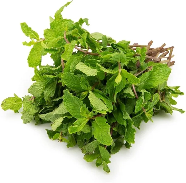 Mint Leaves 500g – buy online in Tenali