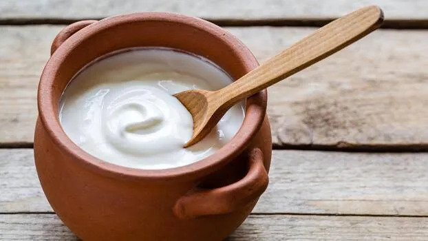 Probiotic Curd 500ml – buy online in Tenali