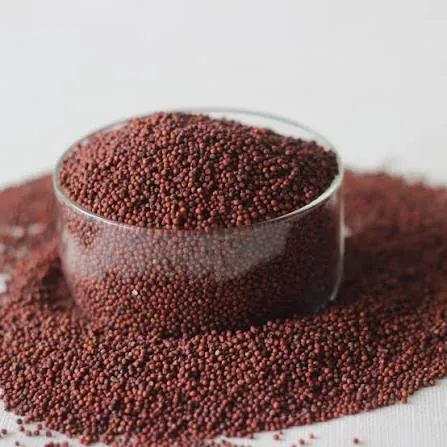 Ragi 1kg – buy online in Tenali