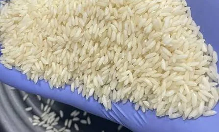 Sona Masoori Rice 1000g – buy online in Tenali